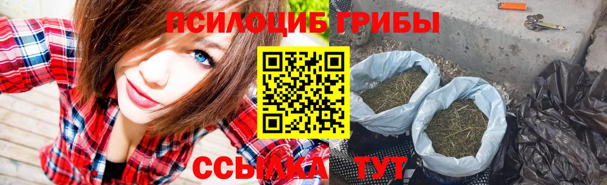 Галлюциногенные грибы Cubensis Фурманов