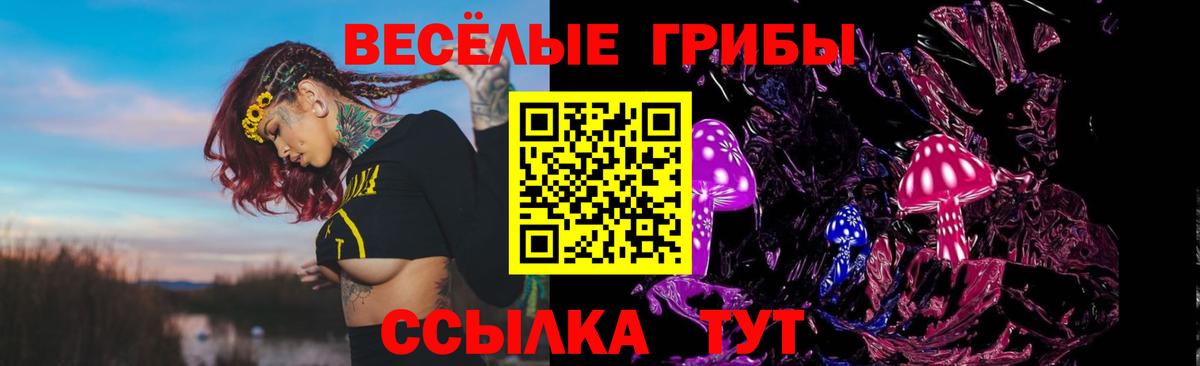 Фурманов  Псилоцибиновые грибы Psilocybine cubensis  где можно купить наркотик  Вход с VPN 